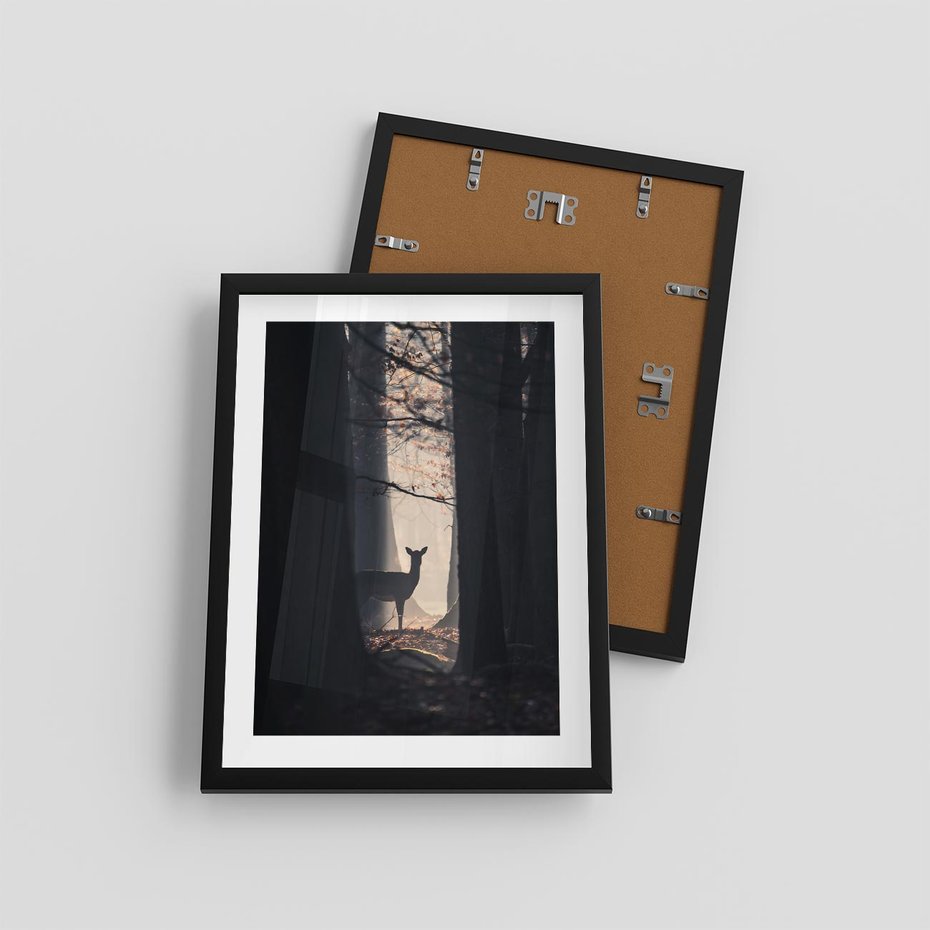 Plakat w ramie 30x40 - Sarnie Skoki - zdjęcie, klimatyczny las - rama czarna