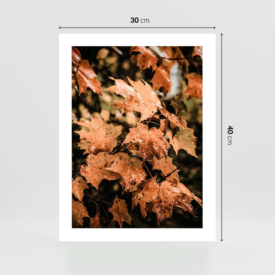 Plakat bez ramy 30x40 - Ciepło Jesieni - jesienne pomarańczowe liśćie, jesień