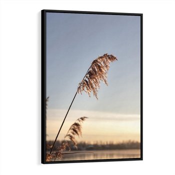 Obraz w ramie 70x100 - Naturalna Delikatność - trawy, boho - rama czarna