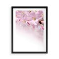 Plakat w ramie 50x70 - Kwitnąca Wiśnia - kwiaty, kwitnącej - rama czarna