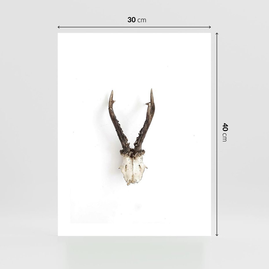 Plakat bez ramy 30x40 - Minimalistyczne Poroże Jelenia - poroże jelenia na ścianie, minimalizm