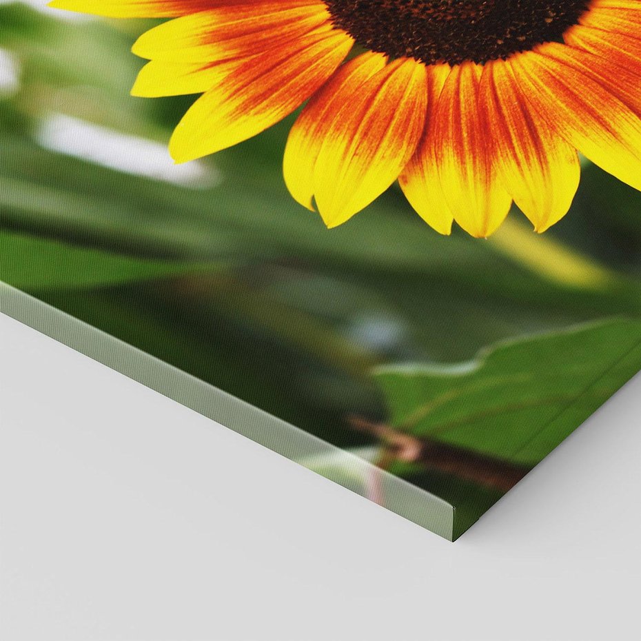 Obraz na płótnie 70x50 - Kwiatowa harmonia natury - słonecznik, kwiaty