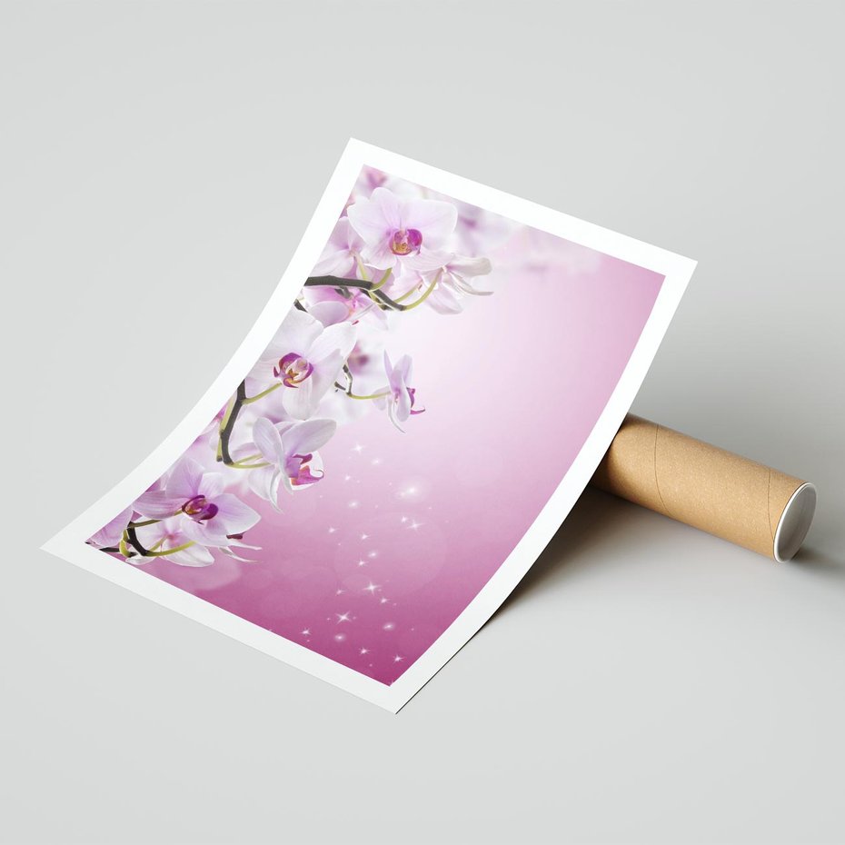 Plakat bez ramy 50x70 - Relaksujące Piękno - kwiaty, orchidea
