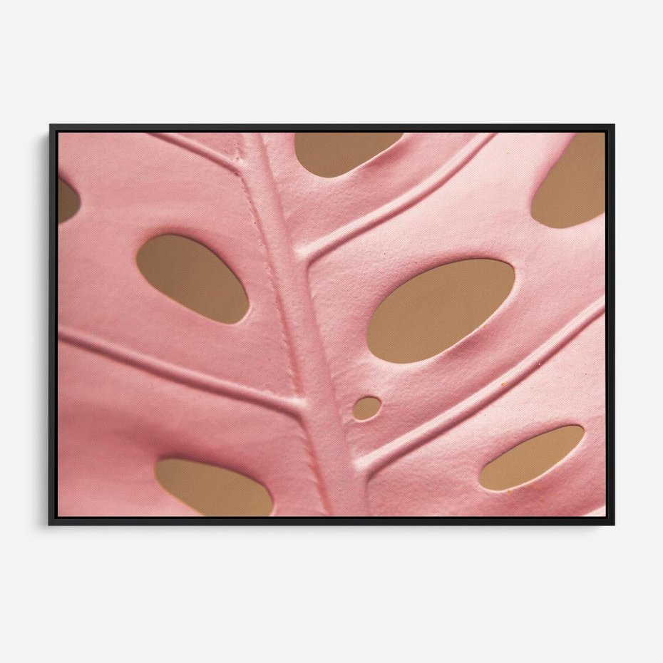 Obraz w ramie 70x50 - Różowa monstera w pełnym rozkwicie - różowa, monstera - rama czarna