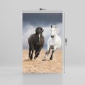 Obraz na płótnie 80x120 - Siła koni w galopie - konie, galop