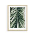 Plakat w ramie 30x40 - Spokojna Piękność Palmowych Liści - palma, liście palmy - rama drewno