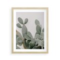 Plakat w ramie 40x50 - Imponujący Kaktus - duży kaktus, opuncja - rama drewno