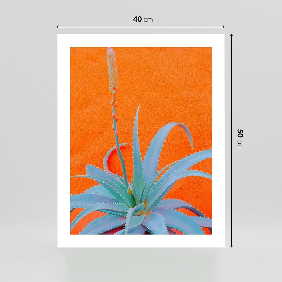Plakat bez ramy 40x50 - Naturalna Harmonia - kaktusy, liście