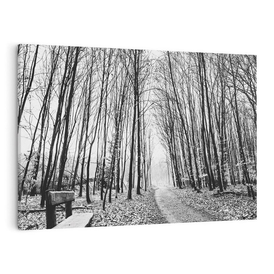 Obraz na płótnie 100x70 - Spadające Liście - czarno białe zdjecie, park