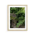 Plakat w ramie 30x40 - Żywiołowa Zieleń - mur, liście - rama drewno