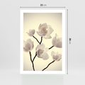 Plakat bez ramy 21x30 - Elegancja Natury - magnolia, białe