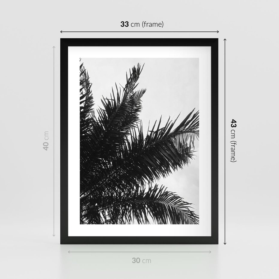 Plakat w ramie 30x40 - Czas Zapomnienia - palmy, czarno biała fotografia - rama czarna