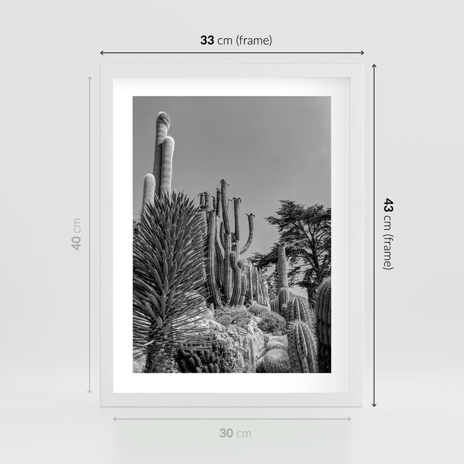 Plakat w ramie 30x40 - Pustynny Klimat - czarno białe zdjecie, pustynia - rama biała