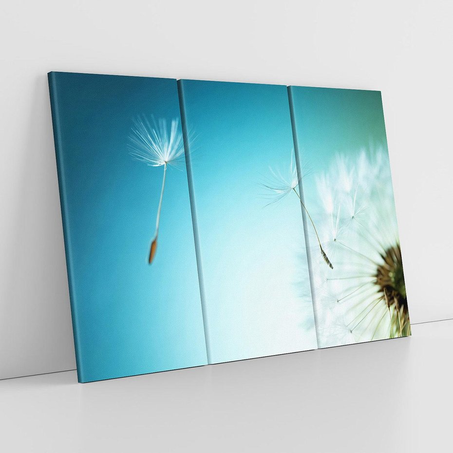 Obraz na płótnie 120x80 - Lekkość i Przemijanie - dmuchawiec, wiatr