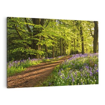 Obraz na płótnie 120x80 - Magia lasu: Drzewa w tajemniczej otoczce - las, drzewa