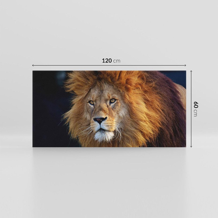 Obraz na płótnie 120x60 - Lew - Król Zwierząt - lew, zwierzęta