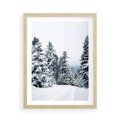 Plakat w ramie 50x70 - Zimowy Las Pod Kołdrą - las, zima - rama drewno