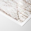 Plakat bez ramy 30x40 - Szron na Gałęziach - ośnieżone gałązki, szron na gałęziach