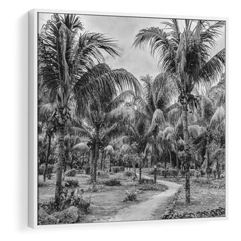 Obraz w ramie 80x80 - Mroczna Ścieżka Tropików - czarno biała fotografia, ścieżka pośród palm - rama biała