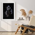 Plakat bez ramy 21x30 - Czarna pantera: majestat i siła - czarna, pantera