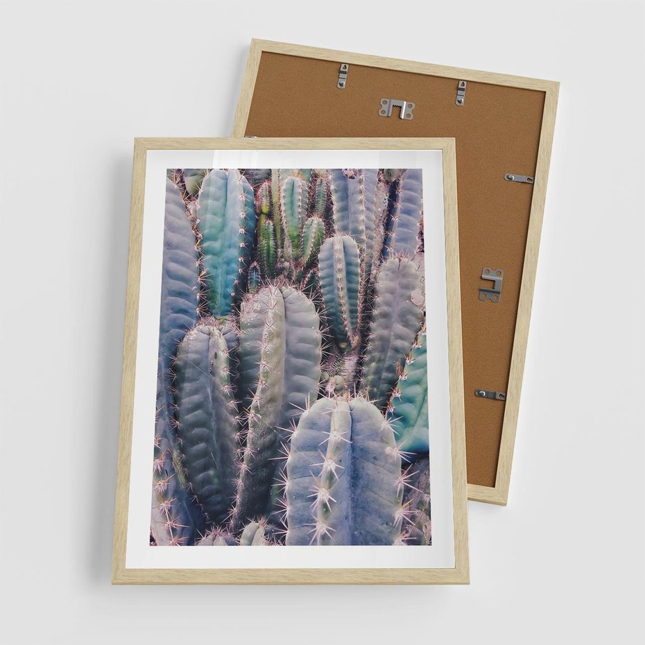 Plakat w ramie 50x70 - Kaktusowy Raj - kaktusy, dużo kaktusów - rama drewno