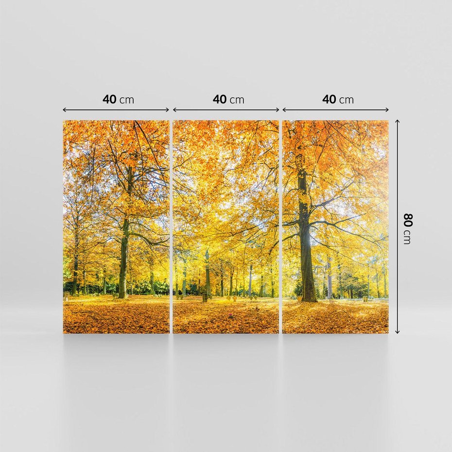 Obraz na płótnie 120x80 - Jesień w Lesie: Urok Lasu - jesień, las