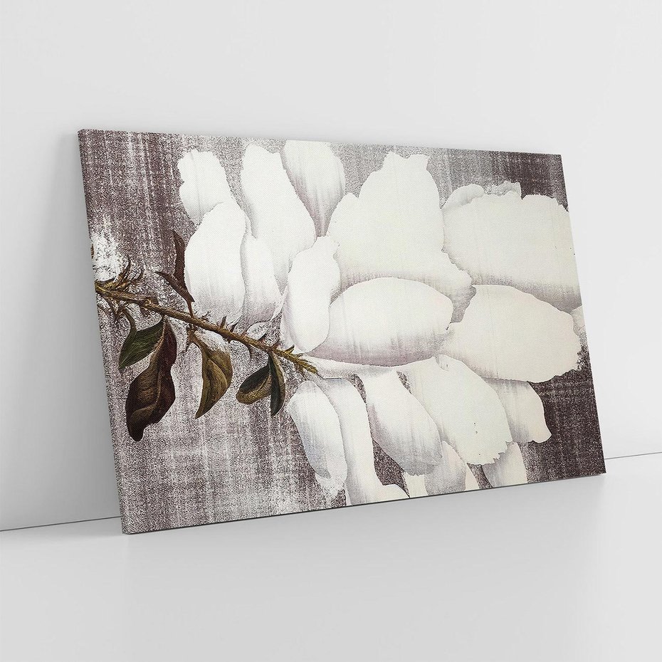 Obraz na płótnie 120x80 - Tekstura Kwiatu - białe kwiaty, duży kwiat