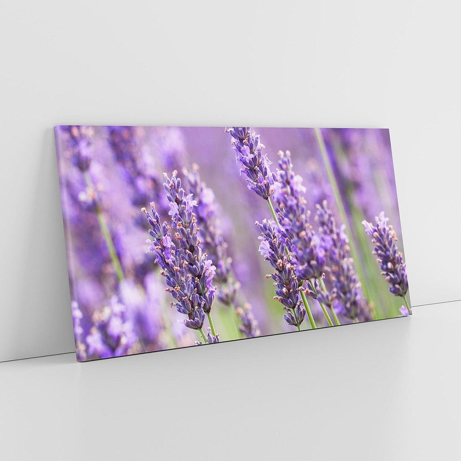 Obraz na płótnie 140x70 - Urok lawendy - lawenda, kwiaty