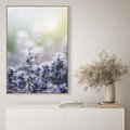 Obraz w ramie 50x70 - Delikatna Uroda Natury - wrzosy, fiolet - rama drewno