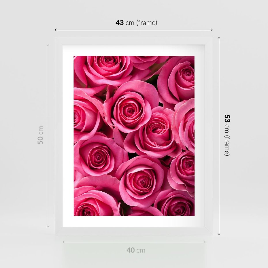 Plakat w ramie 40x50 - Romantyczne róże w pełnym rozkwicie - róże, kwiaty - rama biała