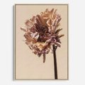 Obraz w ramie 70x100 - Delikatne piękno - suche, kwiaty - rama drewno