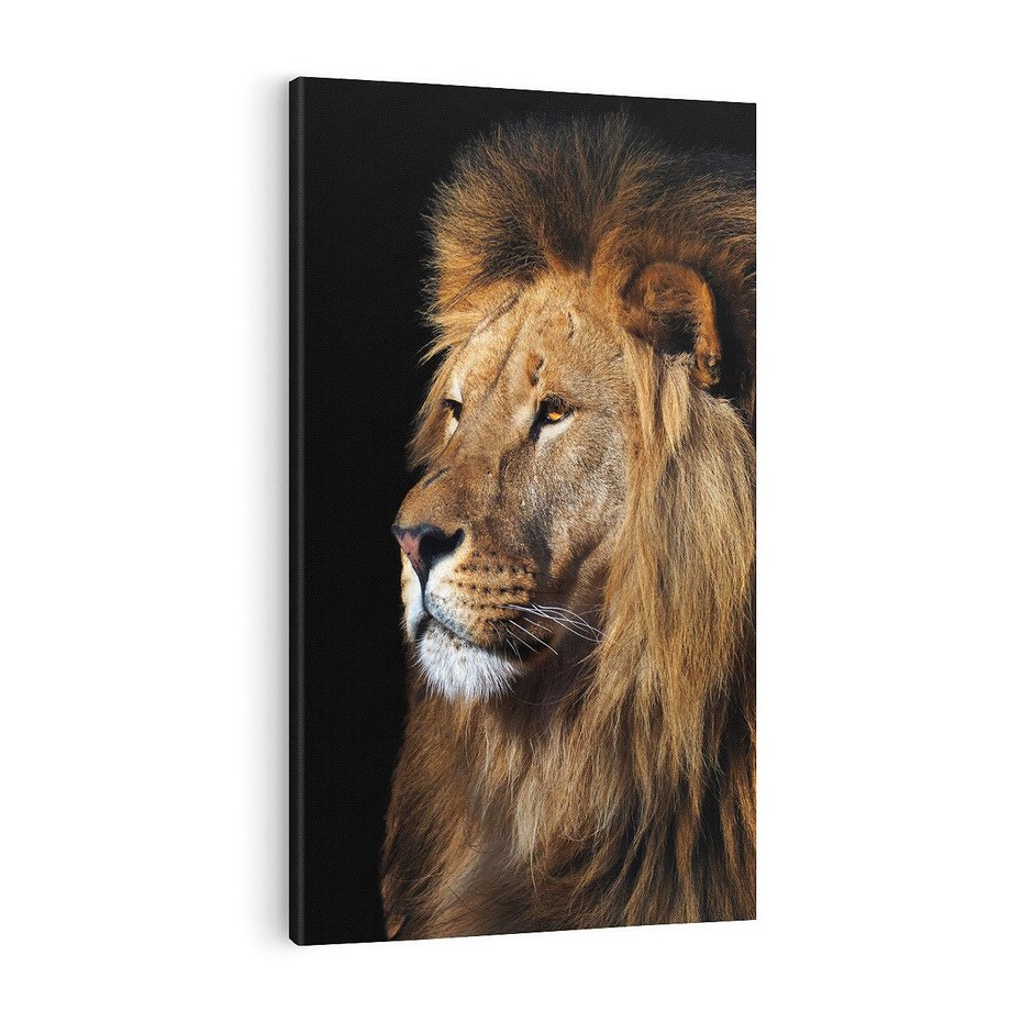 Obraz na płótnie 70x100 - Władca Dzikiej Przyrody - lew, król