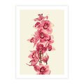 Plakat bez ramy 21x30 - Orchidea w spa - relaks - orchidea, spa