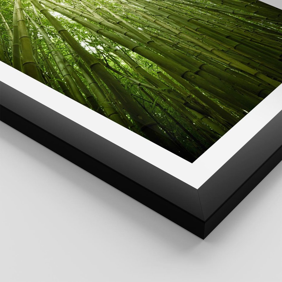 Plakat w ramie 30x40 - Siła Natury - drzewa, las - rama czarna