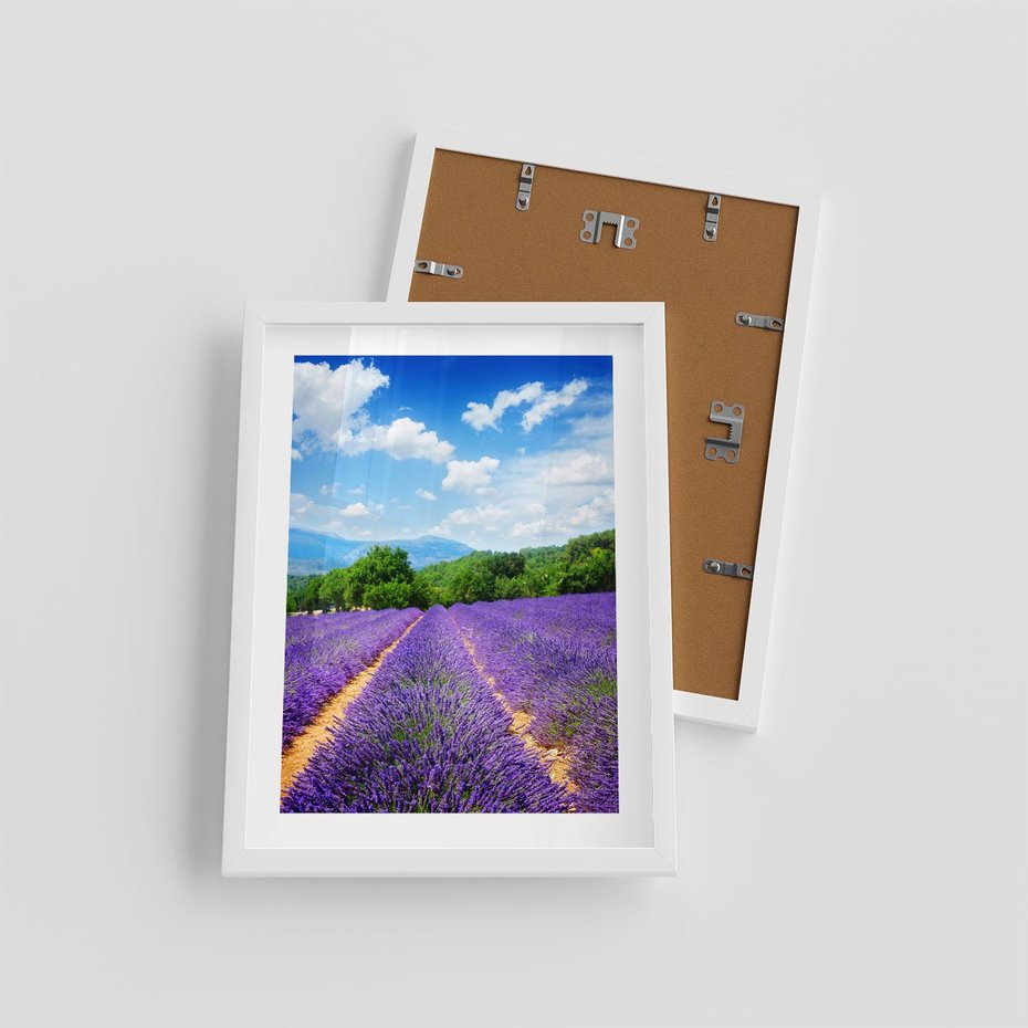Plakat w ramie 30x40 - Prowansalska Lawenda - lawenda, prowansja - rama biała