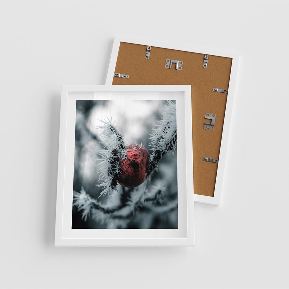 Plakat w ramie 40x50 - Chwila Zimowego Uroku - zima, ośnieżona gałązka - rama biała