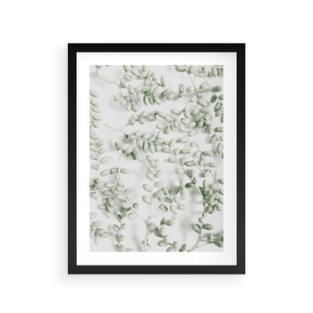 Plakat w ramie 40x50 - Delikatność Zieleni - zielone gałązki, listki - rama czarna