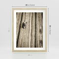 Plakat w ramie 40x50 - Sepia na Polu - kombajn, pole - rama drewno