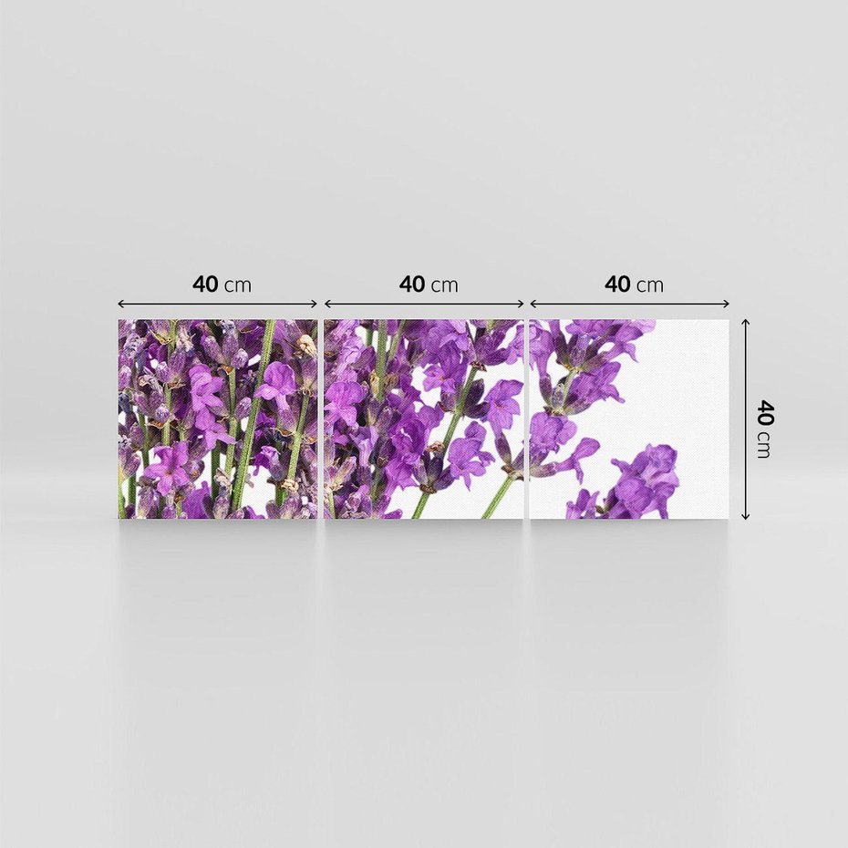 Obraz na płótnie 120x40 - Pola lawendy w pełnym rozkwicie - lawenda, kwiaty