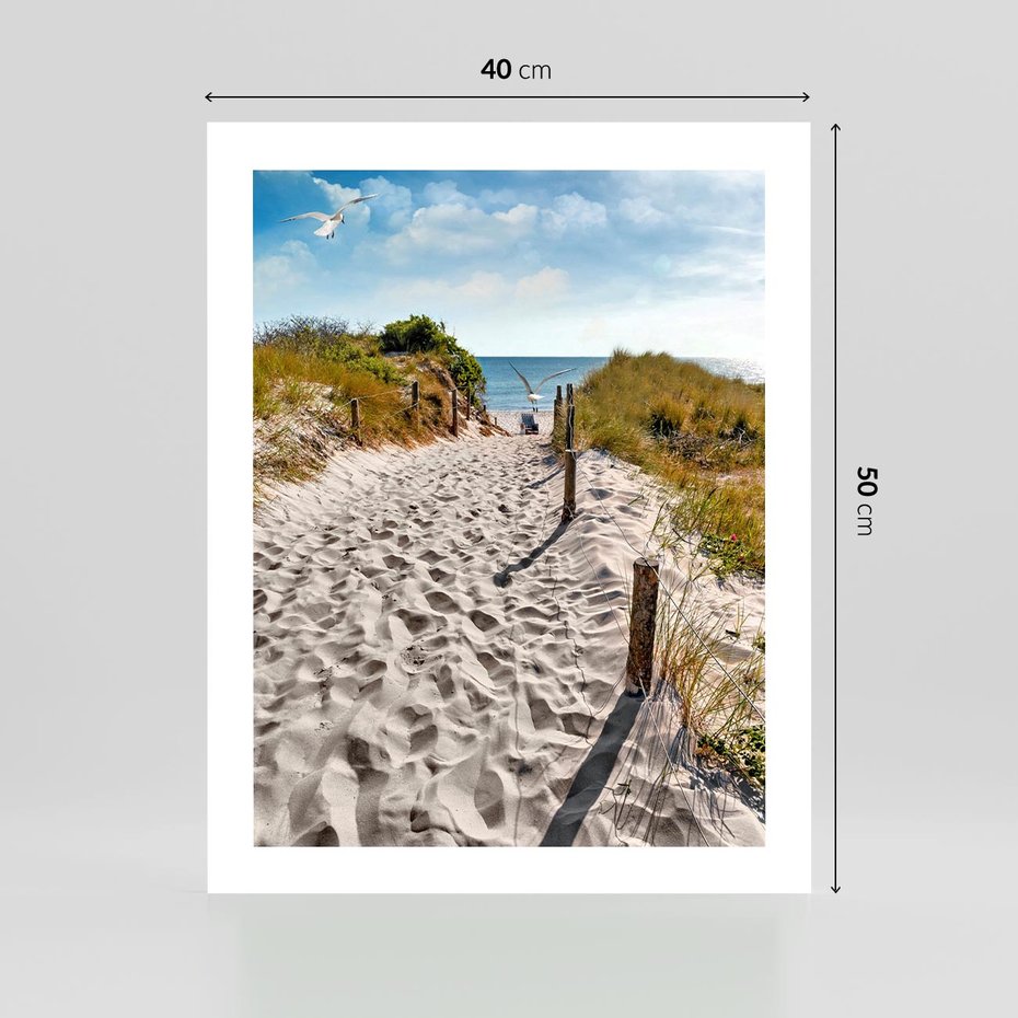 Plakat bez ramy 40x50 - Mewy nad Morzem - plaża, mewy