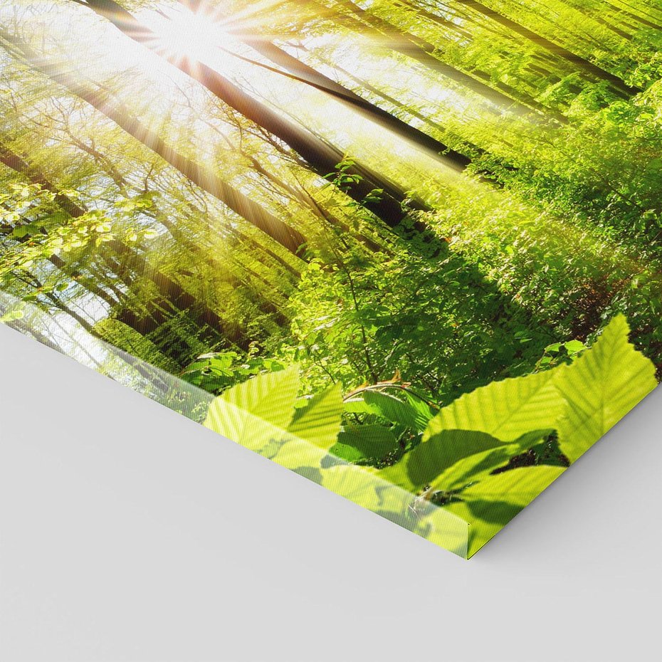 Obraz na płótnie 70x50 - Magia Leśnej Przyrody - las, drzewa