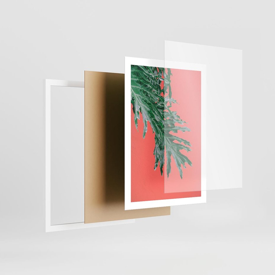 Plakat w ramie 50x70 - Energetyczna Eksplozja Natury - liście, kolor - rama biała