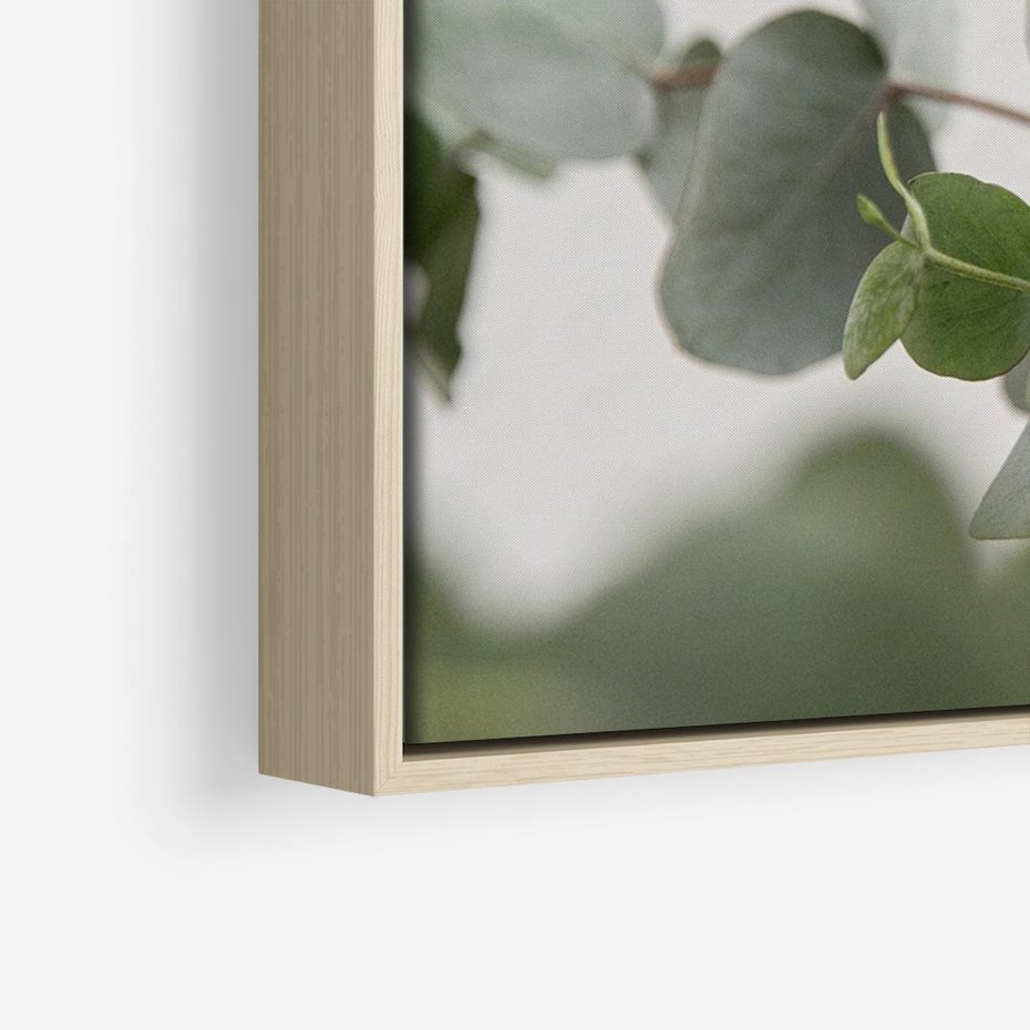 Obraz w ramie 100x70 - Liście eukaliptusa w naturze - eukaliptus, liście - rama drewno