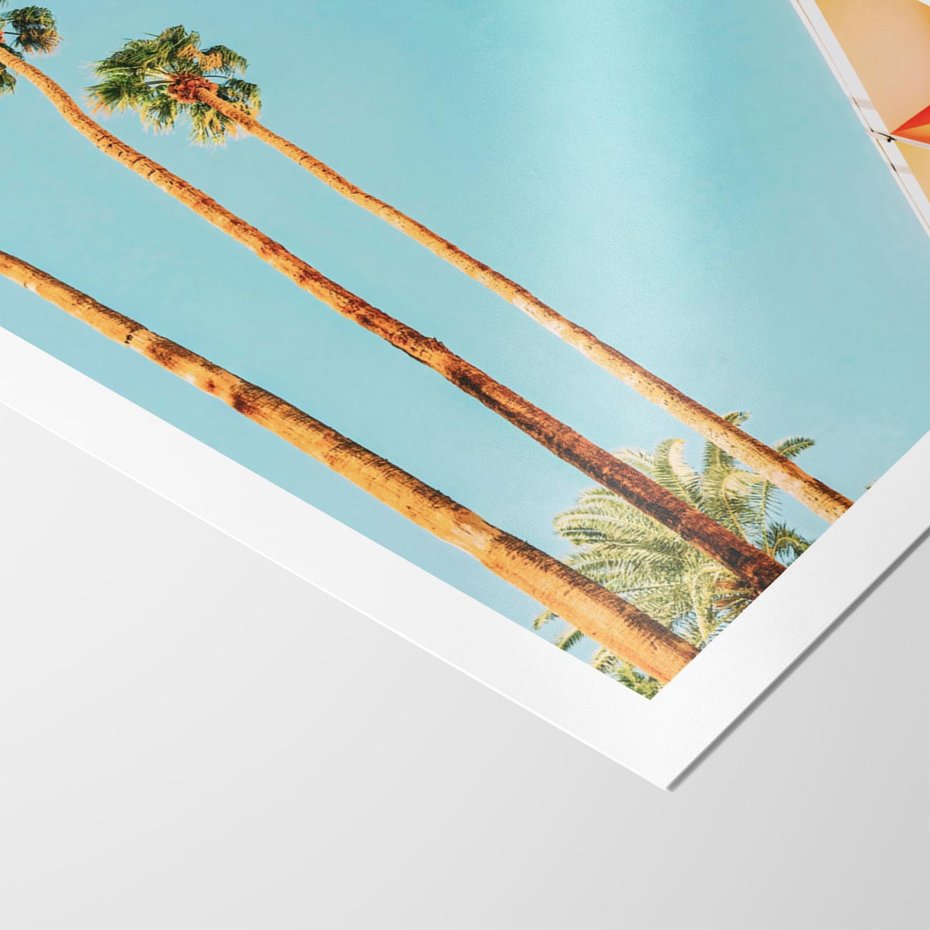 Plakat bez ramy 50x70 - Letnie Marzenia - palmy, na tle nieba