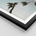 Plakat w ramie 50x70 - Palmy i Niebo - palmy, ujęcie z dołu - rama czarna