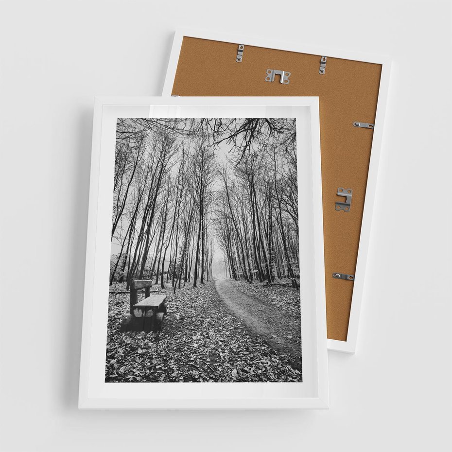 Plakat w ramie 50x70 - Spadające Liście - czarno białe zdjecie, park - rama biała