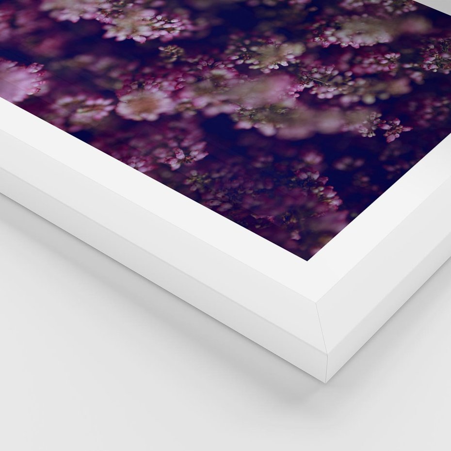 Plakat w ramie 40x50 - Wrzosowa Delikatność - wrzosy, kwiaty - rama biała