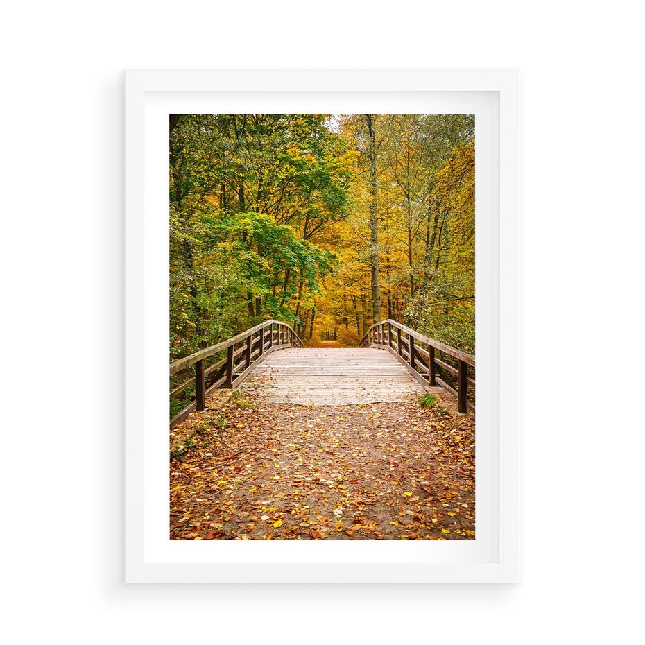 Plakat w ramie 50x70 - Spacer Ścieżką w Las - ścieżka, spacer - rama biała