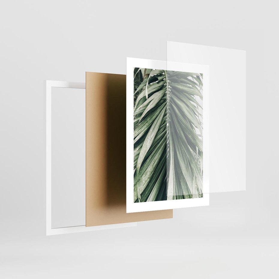 Plakat w ramie 30x40 - Spokojna Piękność Palmowych Liści - palma, liście palmy - rama biała