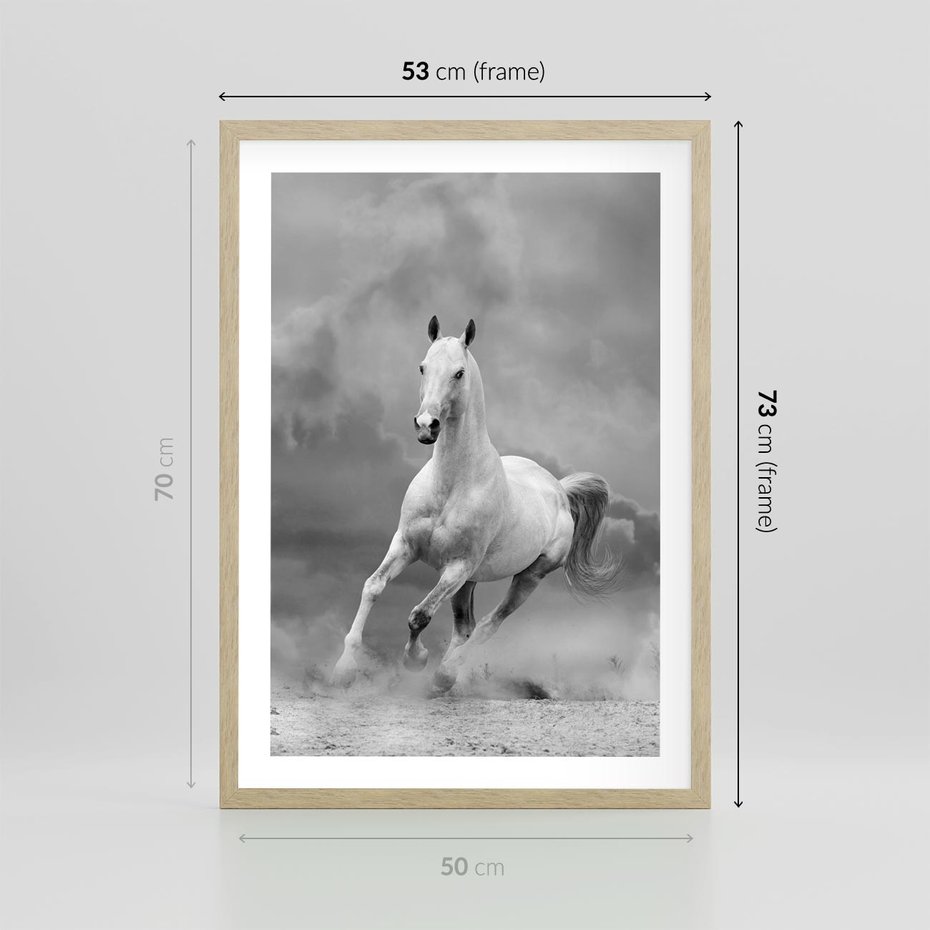 Plakat w ramie 50x70 - Elegancja w Czarno-Białym - koń, biało - rama drewno